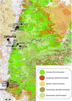 Flint Type Analysis at Late Acheulian Jaljulia (Israel), and Implications for the Origins of Prepared Core Technologies